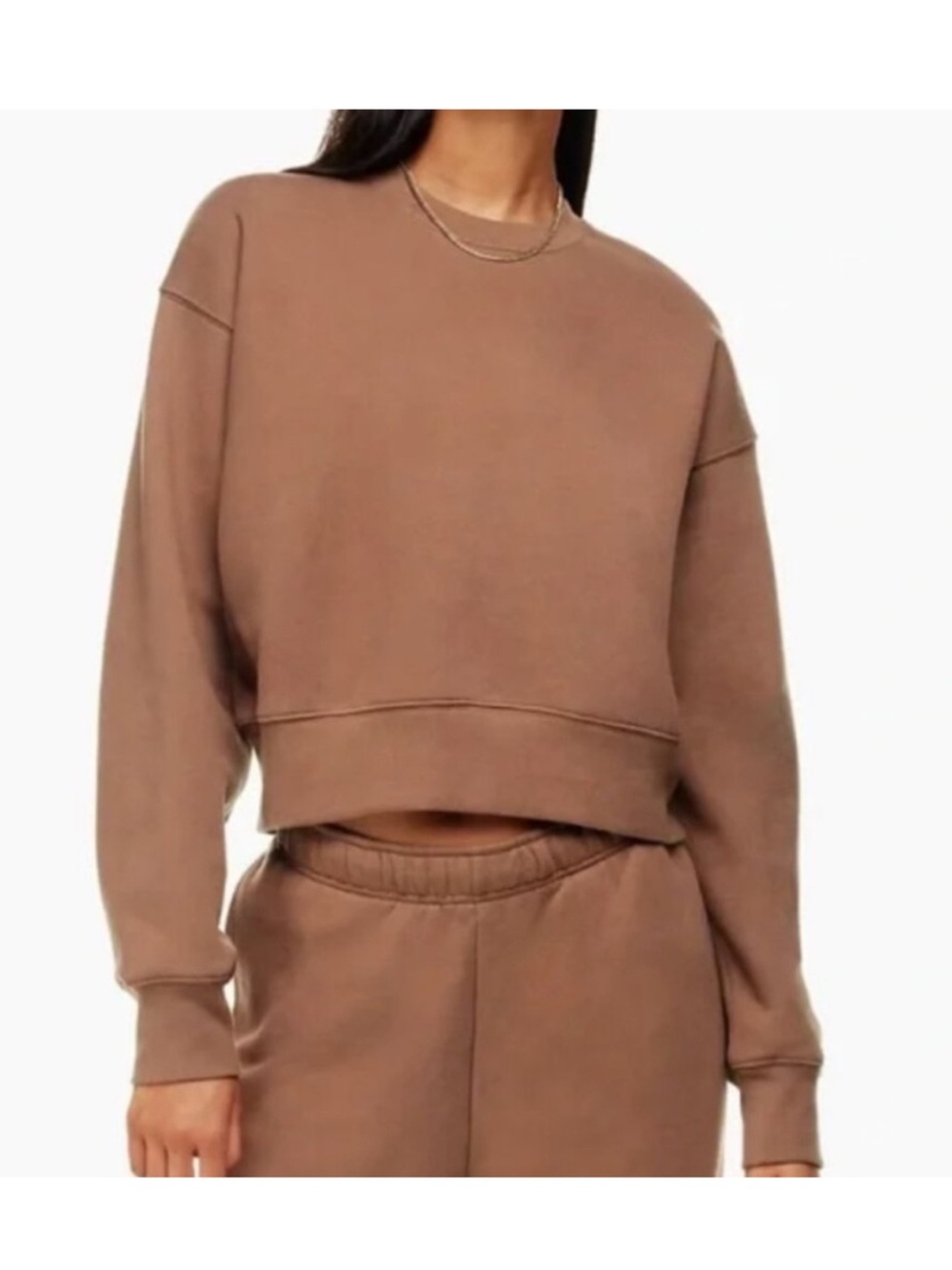 Aritzia TNA Sweatfleece Cozy Fleece Perfect Fit Cropped Crewneck in Brown